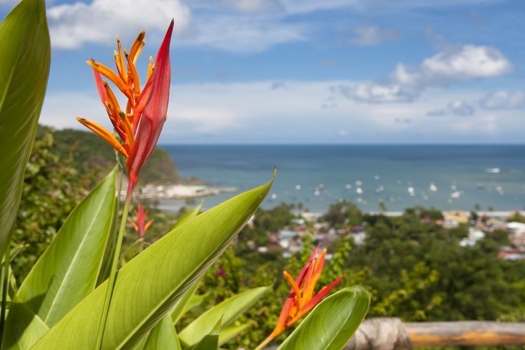 Pelican Eyes Resort And Spa San Juan del Sur Exterior foto